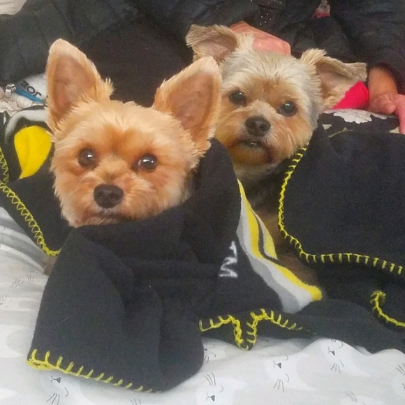 Meet your Posher, Christine - Picture 1 of 1